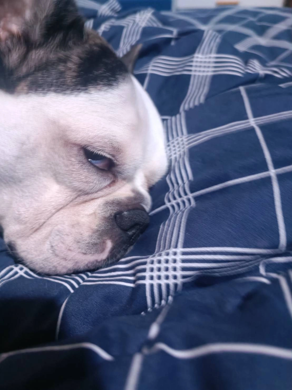 สุดยอดบ้านอยู่สบายใกล้ถนนใหญ่โครงการในเครือ Ap